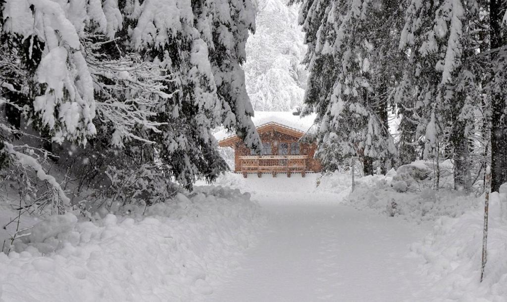 Ferienwohnung Steiner Wald im Pinzgau Buitenkant foto