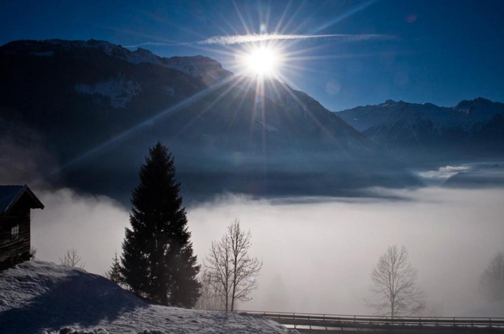Ferienwohnung Steiner Wald im Pinzgau Buitenkant foto